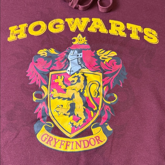 Harry Potter Hogwarts Gryffindor Pullover Hoodie Maroon Gray Sleeves Men's Sz L - Picture 6 of 12